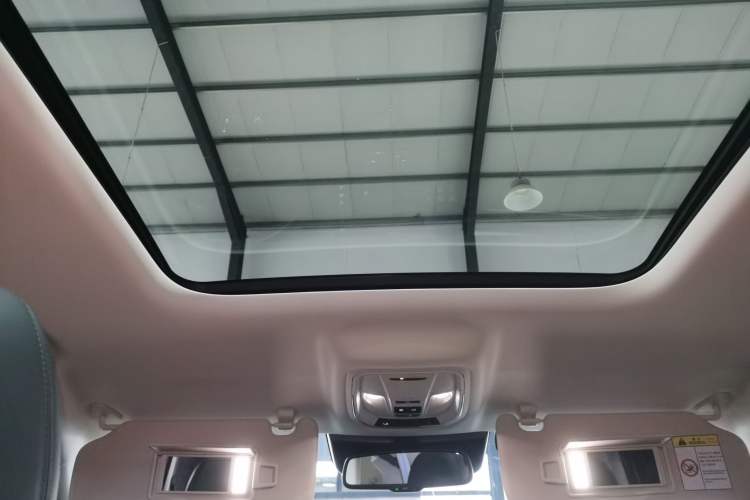 Used Haval Raptor New Energy 2024 Hi4 145 Cross-Over Edition Headliner