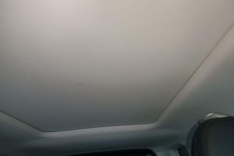 Used Haval Raptor New Energy 2024 Hi4 145 Cross-Over Edition Headliner