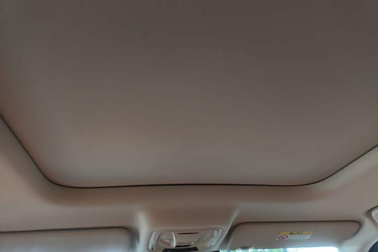 Used Haval Raptor New Energy 2024 Hi4 145 Pro Headliner