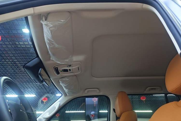 Used Haval Raptor New Energy 2024 Hi4 102 Pro Headliner