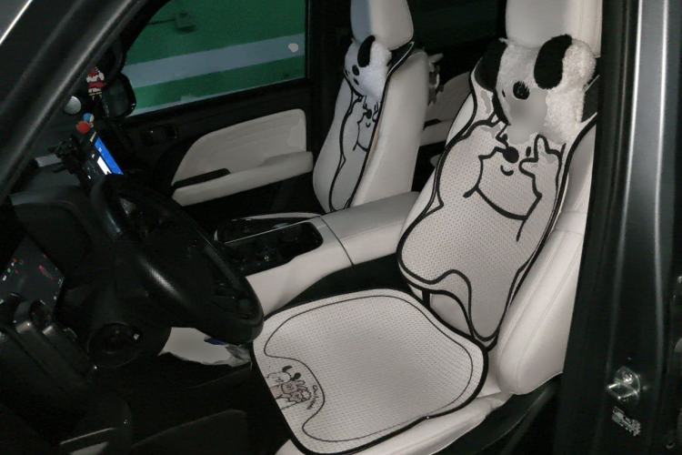 Used Haval Raptor New Energy 2024 Hi4 145 Cross-Over Edition Left Front Seat