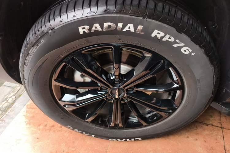 Used Haval Raptor New Energy 2024 Hi4 145 Cross-Over Edition Left Front Wheel Hub