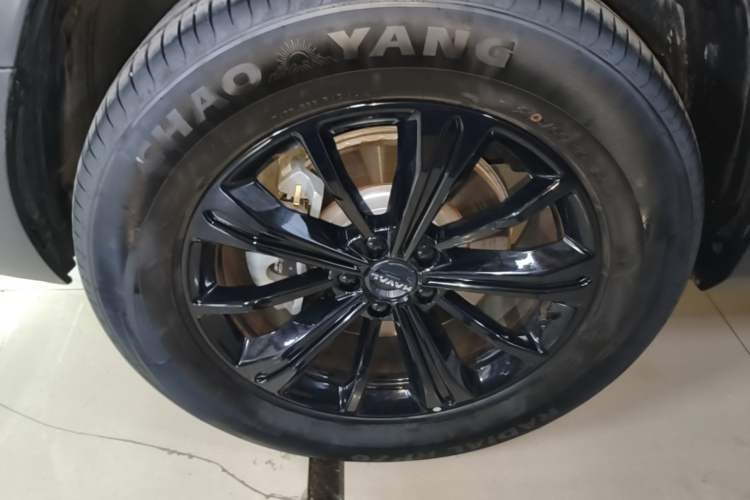 Used Haval Raptor New Energy 2024 Hi4 145 Cross-Over Edition Left Front Wheel Hub