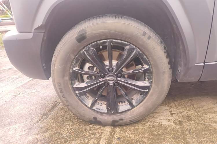 Used Haval Raptor New Energy 2024 Hi4 145 Cross-Over Edition Left Front Wheel Hub