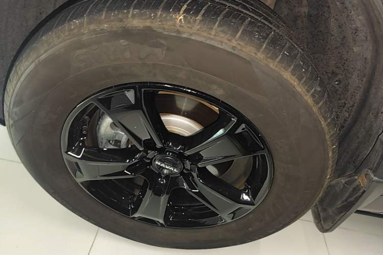 Used Haval Raptor New Energy 2024 Hi4 145 Cross-Over Edition Left Front Wheel Hub