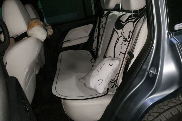 Used Haval Raptor New Energy 2024 Hi4 145 Cross-Over Edition Left Rear Seat