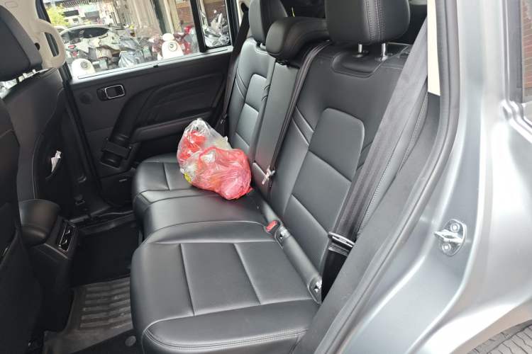 Used Haval Raptor New Energy 2024 Hi4 145 Cross-Over Edition Left Rear Seat