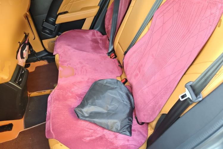Used Haval Raptor New Energy 2024 Hi4 145 Cross-Over Edition Left Rear Seat