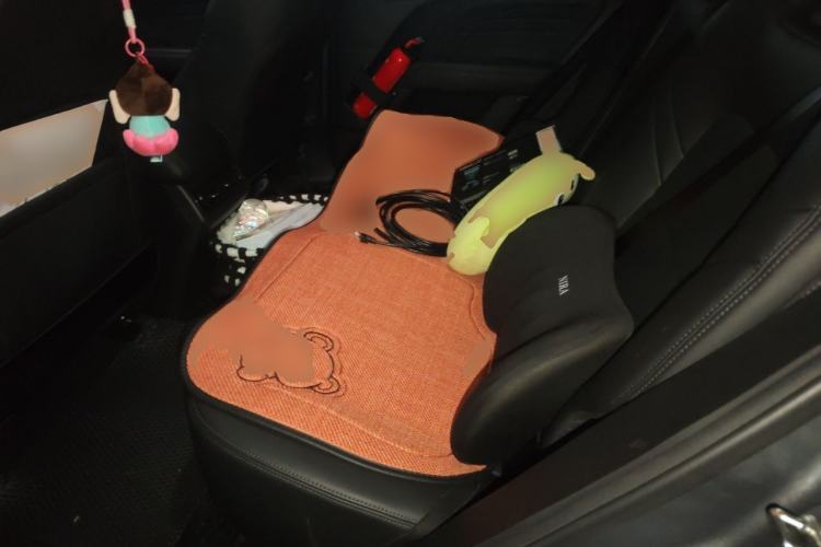 Used Haval Raptor New Energy 2024 Hi4 145 Cross-Over Edition Left Rear Seat