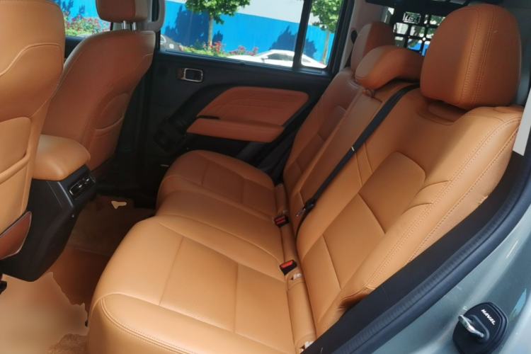 Used Haval Raptor New Energy 2024 Hi4 145 Cross-Over Edition Left Rear Seat