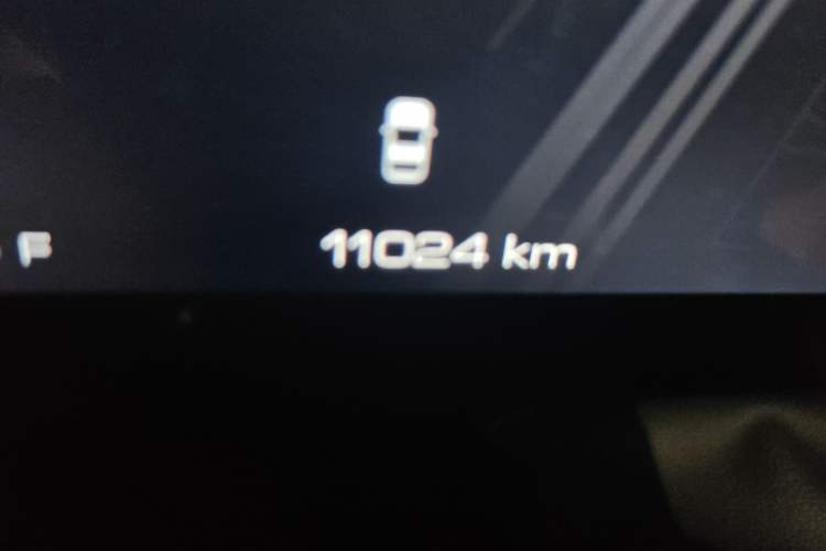 Used Haval Raptor New Energy 2024 Hi4 102 Pro Odometer Close Up