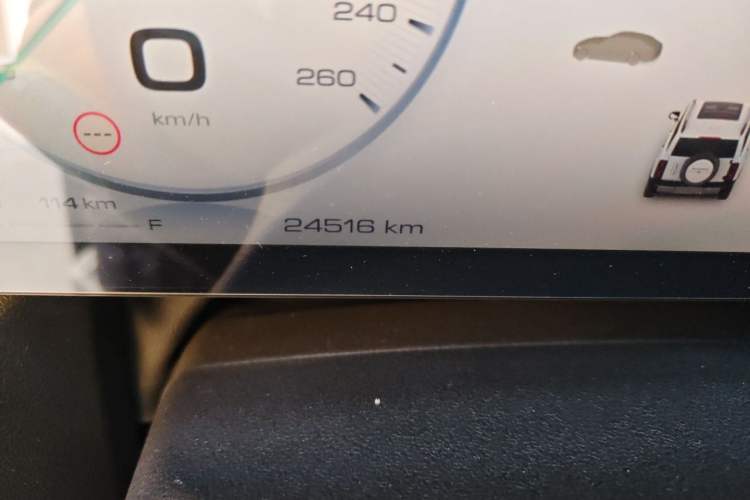 Used Haval Raptor New Energy 2024 Hi4 145 Cross-Over Edition Odometer Close Up