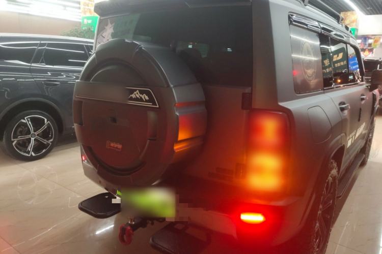 Used Haval Raptor New Energy 2024 Hi4 145 Pro Rear