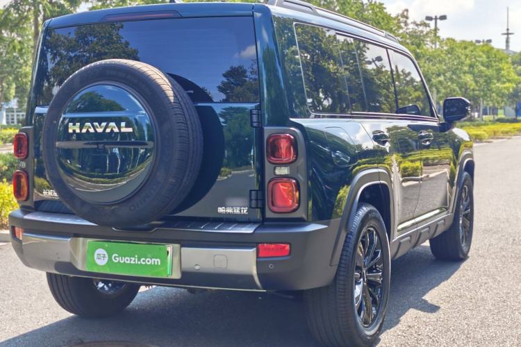 Used Haval Raptor New Energy 2024 Hi4 145 Pro Exterior 10