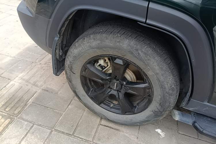 Used Haval Raptor New Energy 2024 Hi4 145 Cross-Over Edition Exterior 5