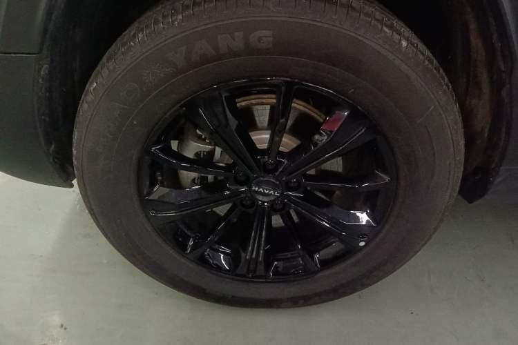 Used Haval Raptor New Energy 2024 Hi4 145 Pro Exterior 7