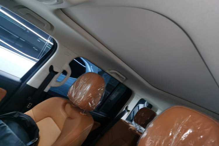 Used Haval Raptor New Energy 2024 Hi4 145 Pro Headliner