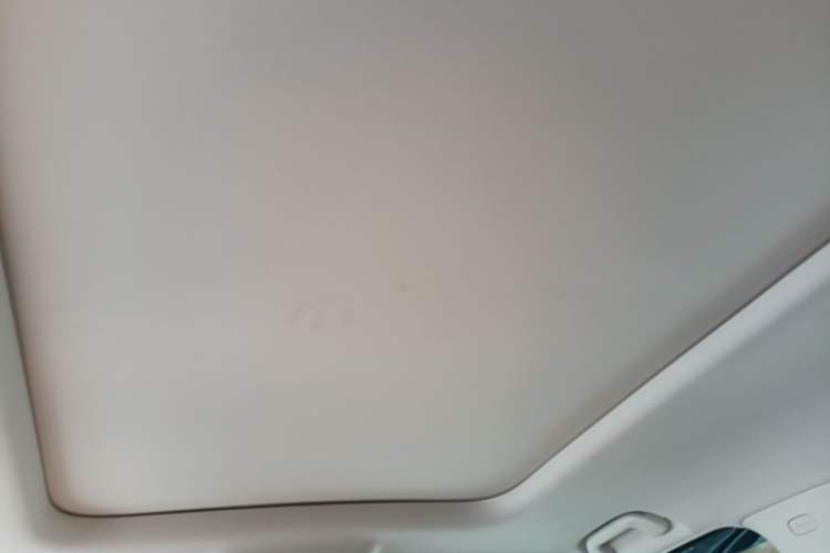 Used Haval Raptor New Energy 2024 Hi4 145 Cross-Over Edition Headliner
