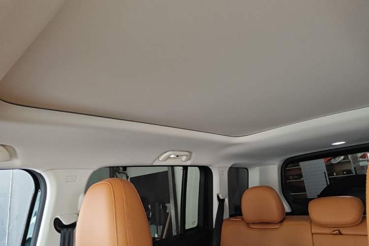 Used Haval Raptor New Energy 2024 Hi4 145 Cross-Over Edition Headliner