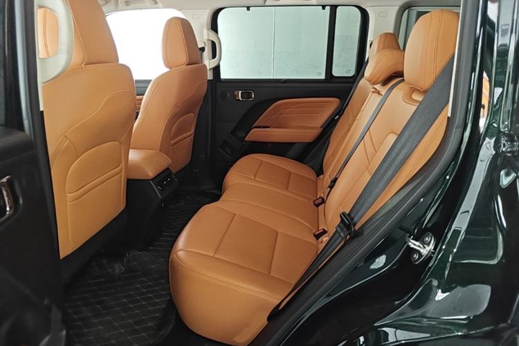 Used Haval Raptor New Energy 2024 Hi4 145 Cross-Over Edition Left Rear Seat