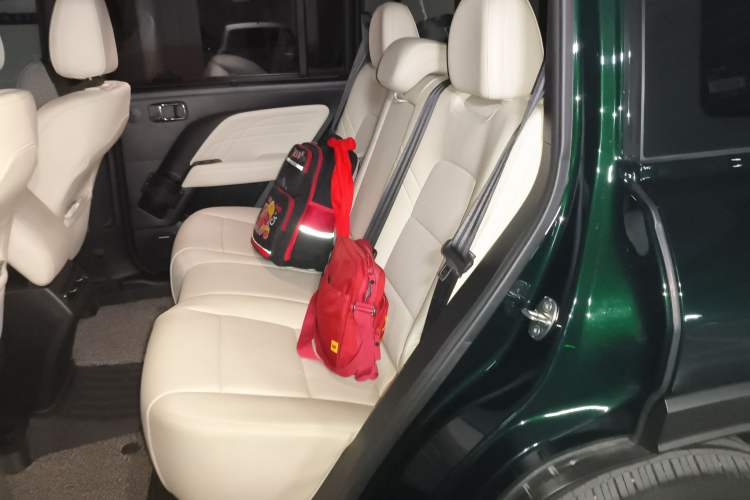 Used Haval Raptor New Energy 2024 Hi4 145 Cross-Over Edition Left Rear Seat