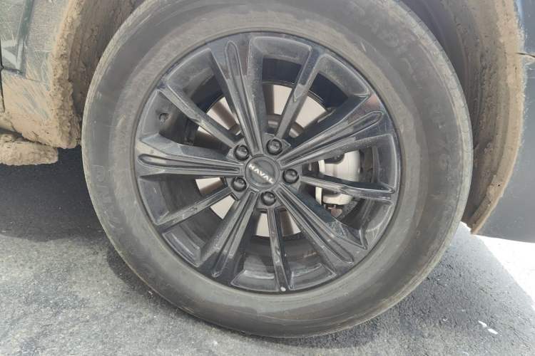 Used Haval Raptor New Energy 2024 Hi4 145 Cross-Over Edition Right Front Wheel Hub