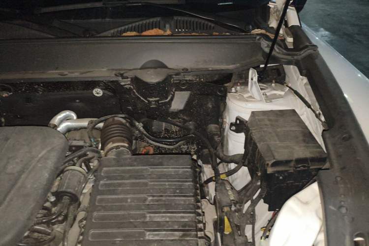 Used Haval Raptor New Energy 2024 Hi4 145 Cross-Over Edition Engine Bay Left