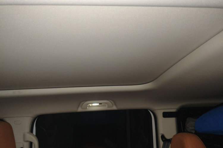 Used Haval Raptor New Energy 2024 Hi4 145 Cross-Over Edition Headliner
