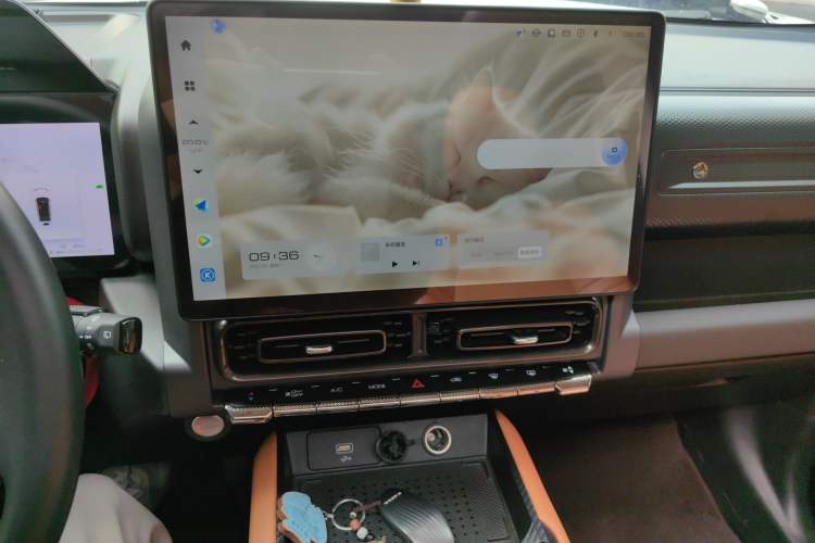 Used Haval Raptor New Energy 2024 Hi4 102 Pro Audio And AC Panel
