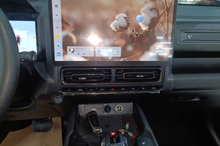 Used Haval Raptor New Energy 2024 Hi4 145 Pro Audio And AC Panel