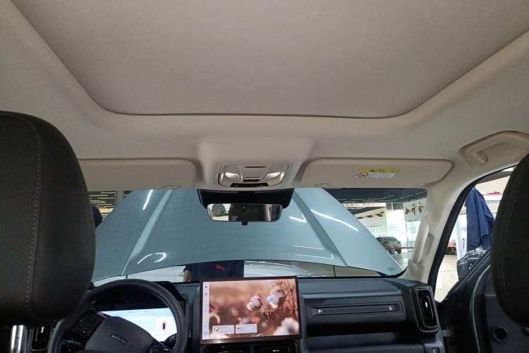 Used Haval Raptor New Energy 2024 Hi4 145 Pro Headliner