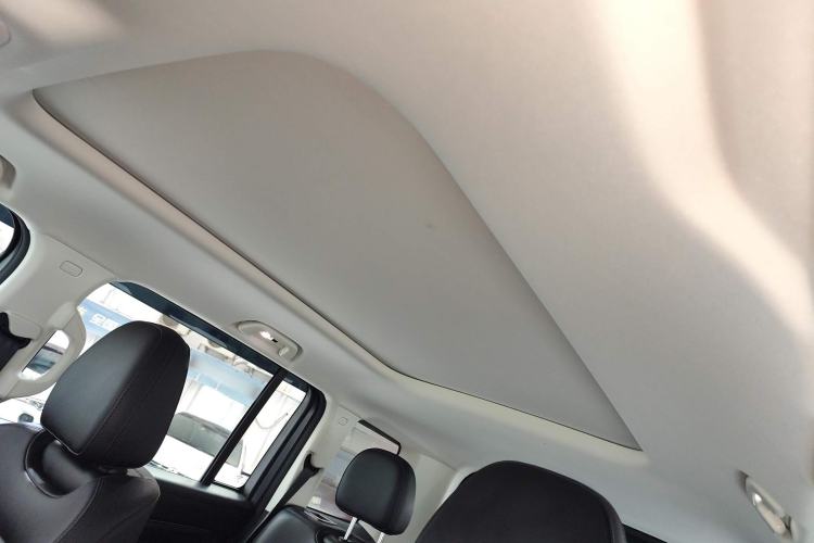 Used Haval Raptor New Energy 2024 Hi4 102 Pro Headliner