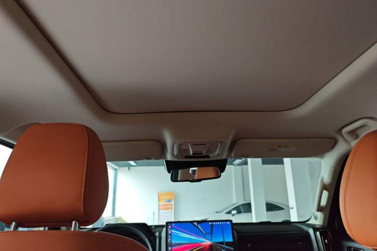 Used Haval Raptor New Energy 2024 Hi4 145 Pro Headliner