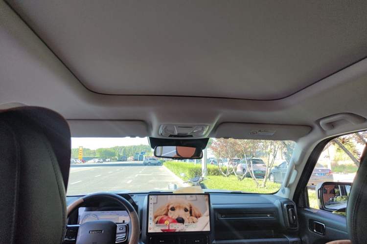Used Haval Raptor New Energy 2024 Hi4 145 Cross-Over Edition Headliner
