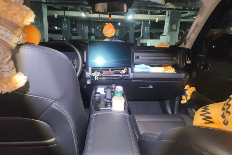 Used Haval Raptor New Energy 2024 Hi4 145 Cross-Over Edition Headliner