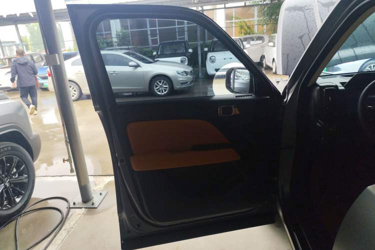 Used Haval Raptor New Energy 2024 Hi4 145 Cross-Over Edition Left Front Door Interior