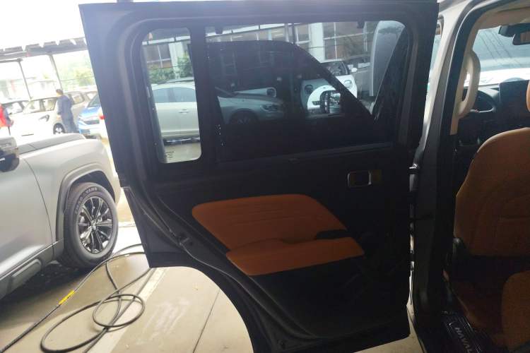 Used Haval Raptor New Energy 2024 Hi4 145 Cross-Over Edition Left Rear Door Interior