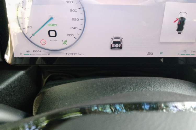 Used Haval Raptor New Energy 2024 Hi4 102 Pro Odometer Close Up