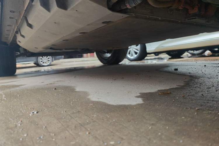 Used Haval Raptor New Energy 2024 Hi4 102 Pro Chassis Rear Left