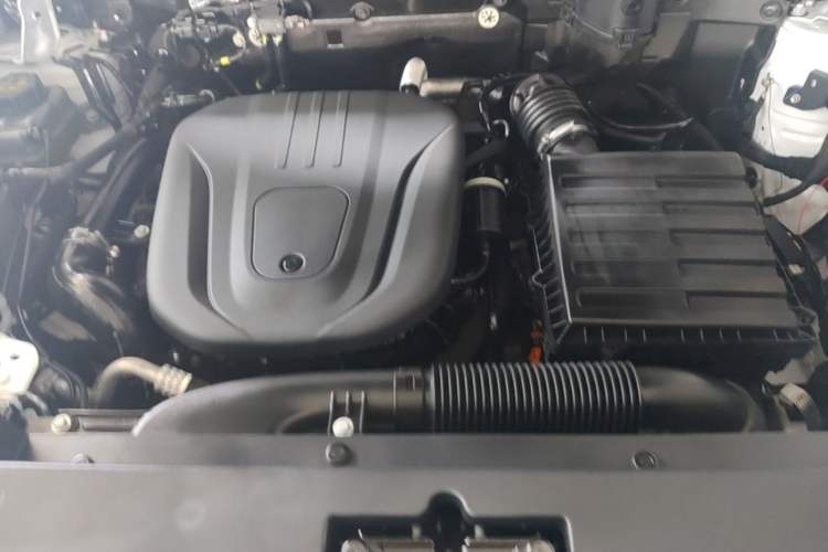 Used Haval Raptor New Energy 2024 Hi4 102 Pro Engine Bay