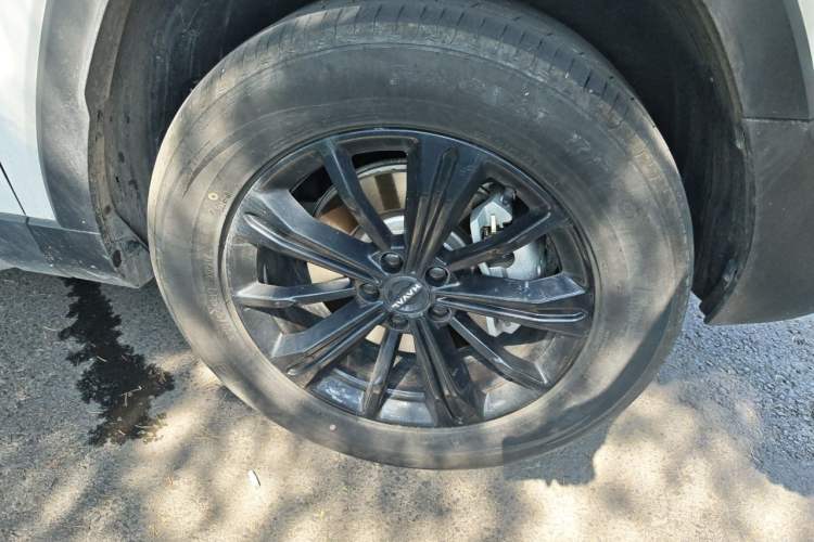 Used Haval Raptor New Energy 2024 Hi4 102 Pro Exterior 1