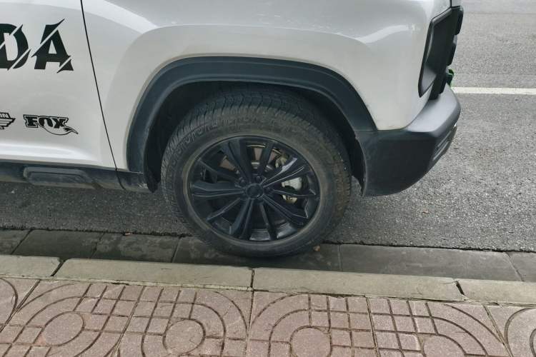 Used Haval Raptor New Energy 2024 Hi4 145 Pro Exterior 7