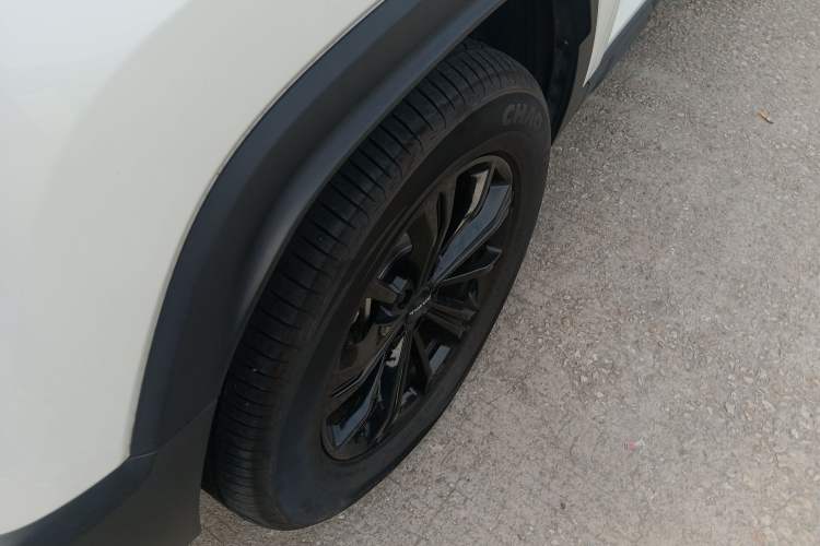 Used Haval Raptor New Energy 2024 Hi4 102 Pro Exterior 7
