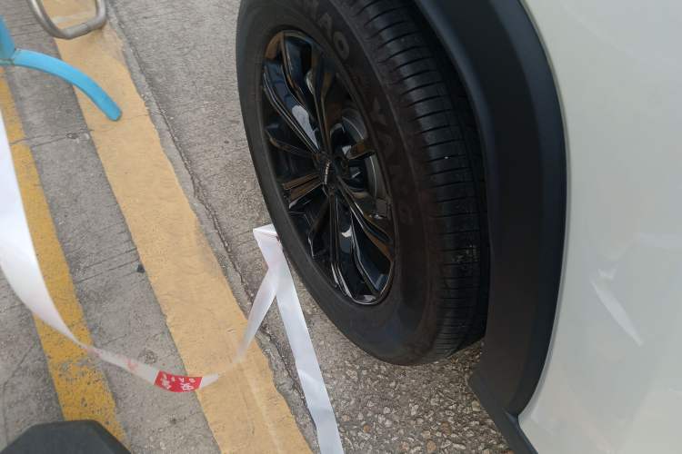Used Haval Raptor New Energy 2024 Hi4 102 Pro Exterior 8