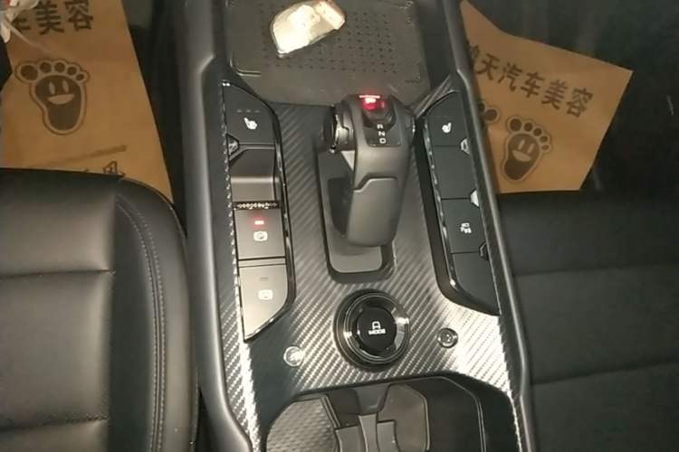 Used Haval Raptor New Energy 2024 Hi4 102 Pro Gear Lever