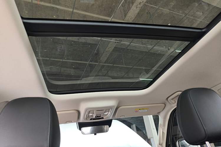 Used Haval Raptor New Energy 2024 Hi4 102 Pro Headliner