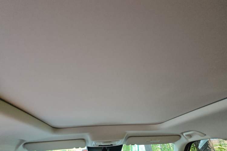 Used Haval Raptor New Energy 2024 Hi4 102 Pro Headliner