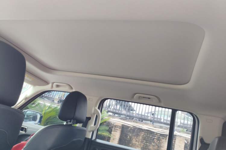 Used Haval Raptor New Energy 2024 Hi4 102 Pro Headliner