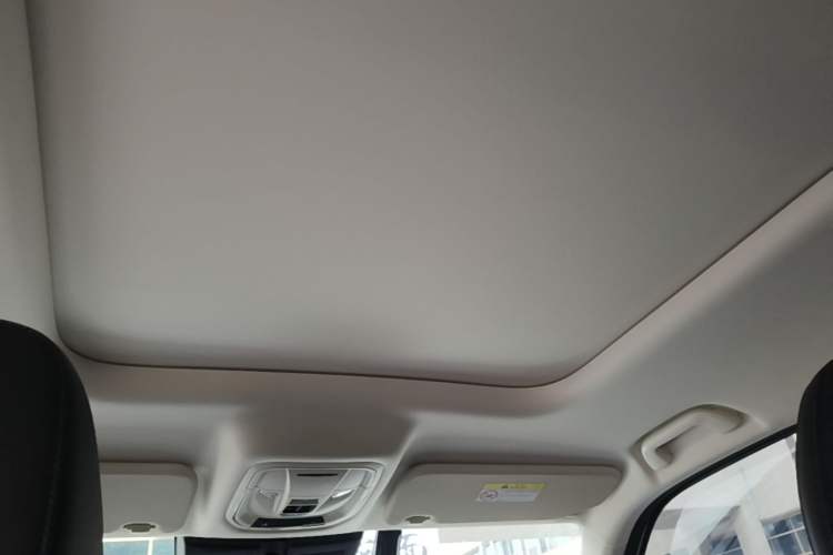 Used Haval Raptor New Energy 2024 Hi4 102 Pro Headliner