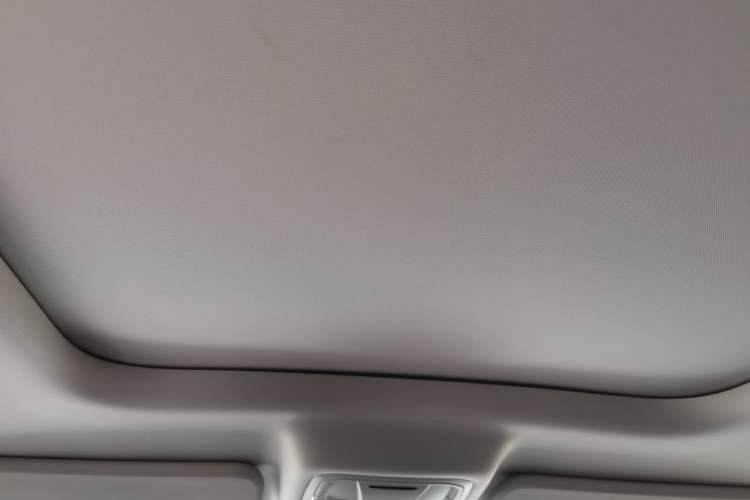 Used Haval Raptor New Energy 2024 Hi4 102 Pro Headliner